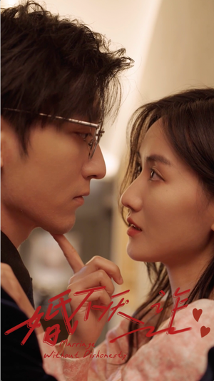 婚不厌诈（80集）免费看