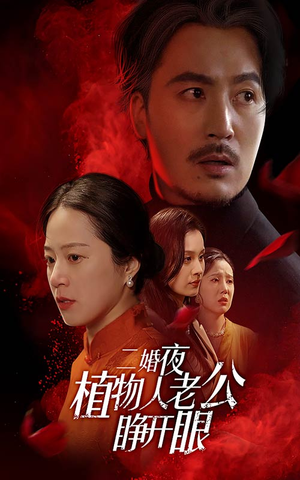 二婚夜植物人老公睁开眼（78集）夸克在线观看