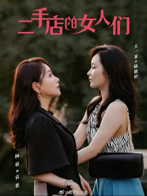 二手店的女人们（66集）完整版免费观看