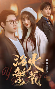 欲火繁花（83集）精彩连连免费看
