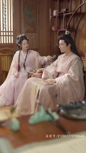 重生医妃不好惹（81集）全集完整版
