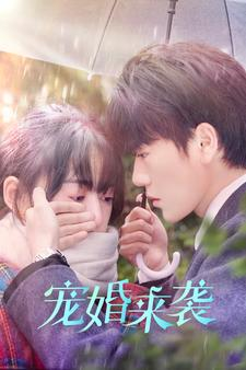 宠婚来袭（102集）免费短剧全集看
