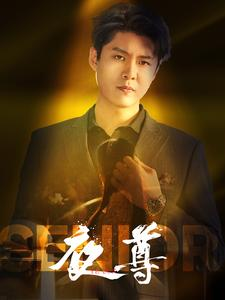 夜尊（95集）无需充值尽情看