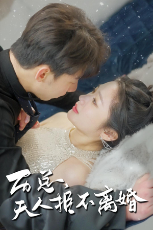 历总，夫人拒不离婚（61集）大结局太过瘾了