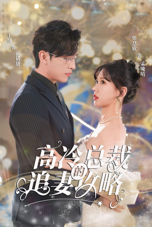 高冷总裁的追妻攻略（65集）全剧看到大结局