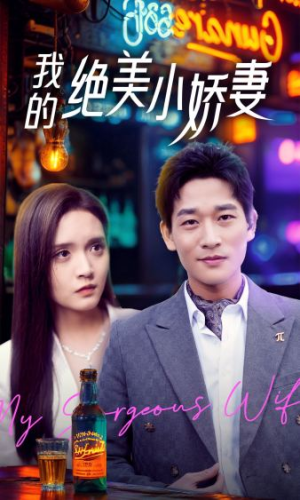 我的绝美小娇妻（80集）在线免费观看