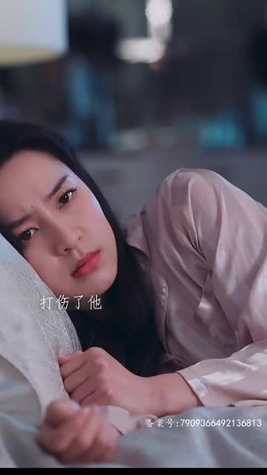 城南花正开（92集）海量资源免费看