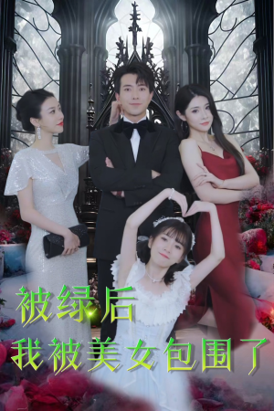 被绿后我被美女包围了（97集）360网盘观看