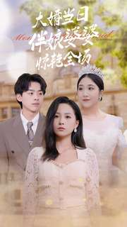 大婚当日伴娘婆婆惊艳全场（30集）精彩短剧天天看