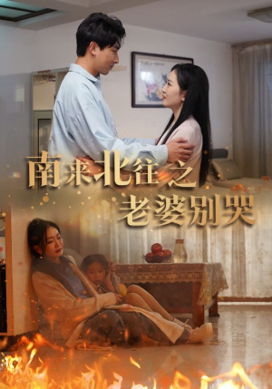 南来北往之老婆别哭（87集）每日短剧分享