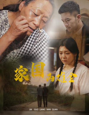 家国两难全（62集）最近很火的短剧