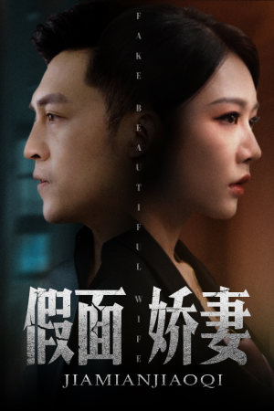 娇妻的谎言（72集）免费观看全集