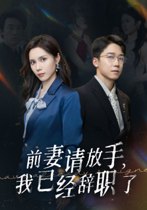 前妻请放手，我已经辞职了（30集）真的好看吗