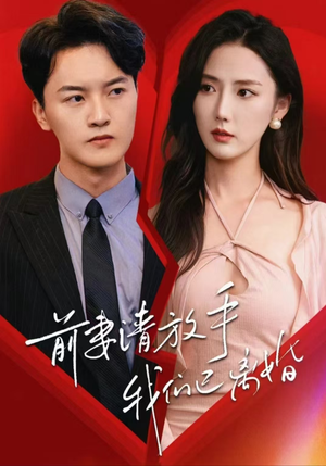 前妻请放手，我们已离婚（86集）精彩短剧看不停