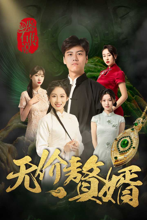 鉴宝传说之无价赘婿（100集）一口气看完