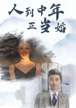 人到中年正当婚（81集）短剧免费看全集