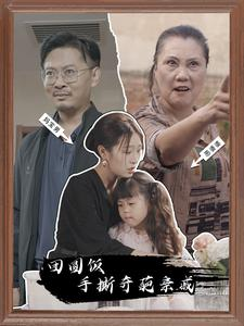 团圆饭手撕奇葩亲戚（40集）百度网盘在线看