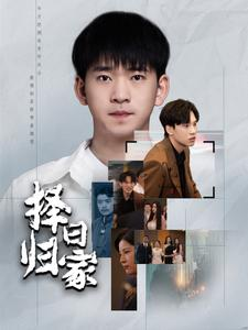 择日归家（60集）好看吗