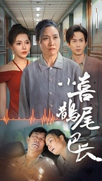 小喜鹊尾巴长（53集）超级好看的短剧