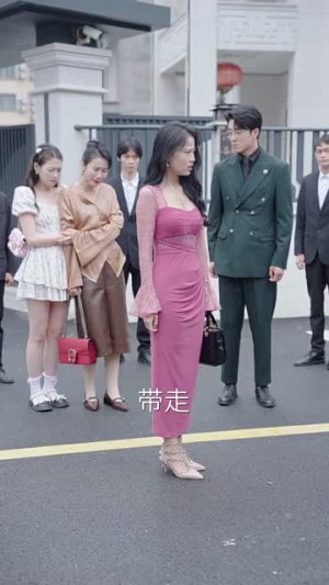 重生之追夫火葬场（35集）全集