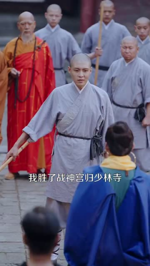 天下嵩山（29集）热播短剧分享