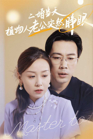 二婚当天植物人老公突然睁眼（40集）夸克网盘在线看