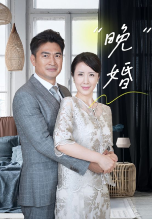 晚婚（65集）热门短剧分享