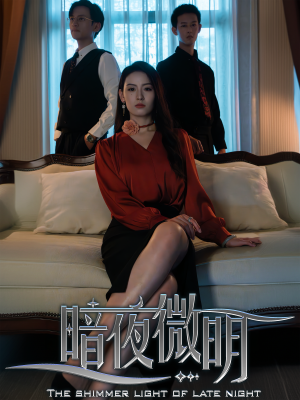 暗夜微明（70集）免费看短剧