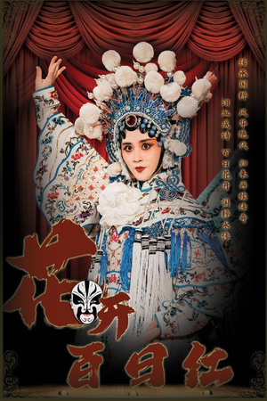 花开百日红（30集）短剧也太好看了
