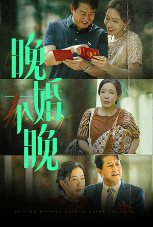 晚婚不晚（30集）热门短剧大全