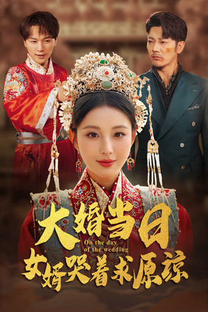 大婚当日，女婿哭着求原谅（31集）古装热门短剧