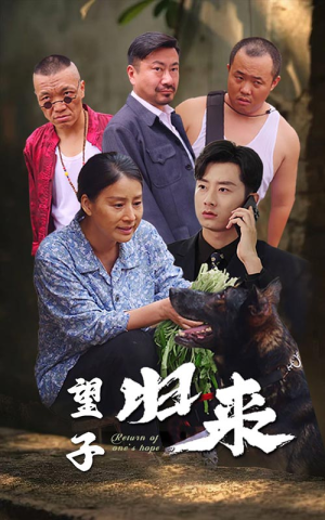 望子归来（50集）短剧视频分享