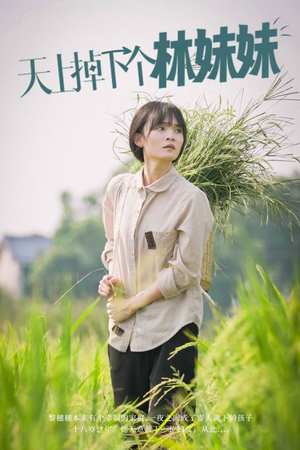 天上掉下个林妹妹（81集）女频短剧推荐