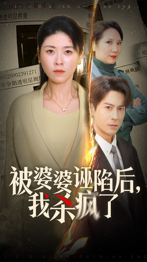 被婆婆诬陷后我杀疯了（30集）热播短剧追不停