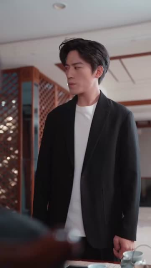 双生风云（92集）短剧精彩绝伦