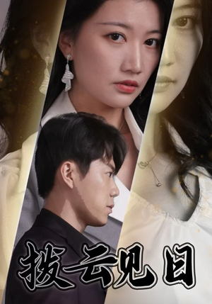 拨云见日（30集）好看吗