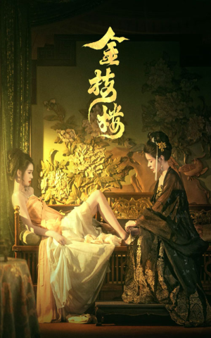 金枝楼（52集）超爽短剧推荐