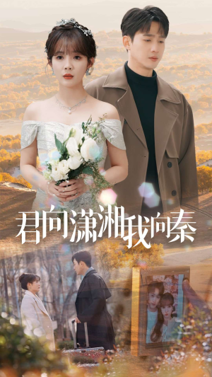 君向潇湘我向秦（30集）短剧在哪里看