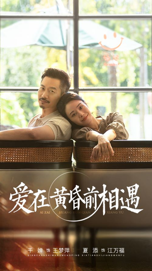 爱在黄昏前相遇（65集）红果免费看短剧