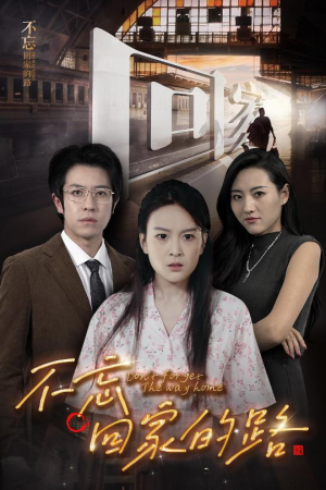不忘回家的路（61集）爆款热门短剧