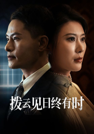 拨云见日终有时（30集）爆款热门短剧