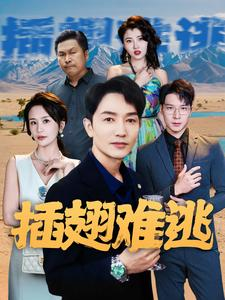 插翅难逃（43集）好看短剧又来了