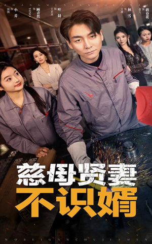 慈母贤妻不识婿（45集）看到了大结局