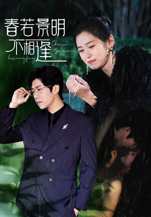 春若景明不相逢（50集）短剧小说在线看