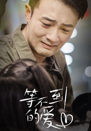 等不到的爱（40集）在哪看