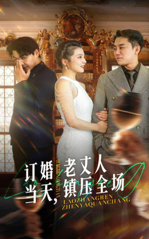 订婚当天，老丈人镇压全场（29集）爱上了这部剧了