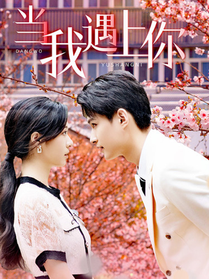 当我遇上你（100集）在线观看完整版