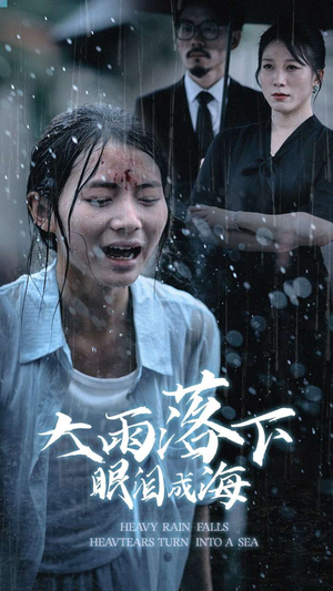 大雨落下眼泪成海（68集）在哪个平台看好