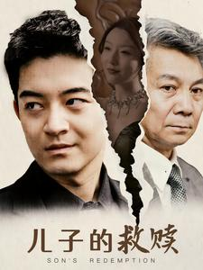 儿子的救赎（47集）全集