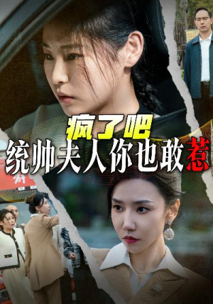 疯了吧统帅夫人你也敢惹（33集）常回家看看短剧
